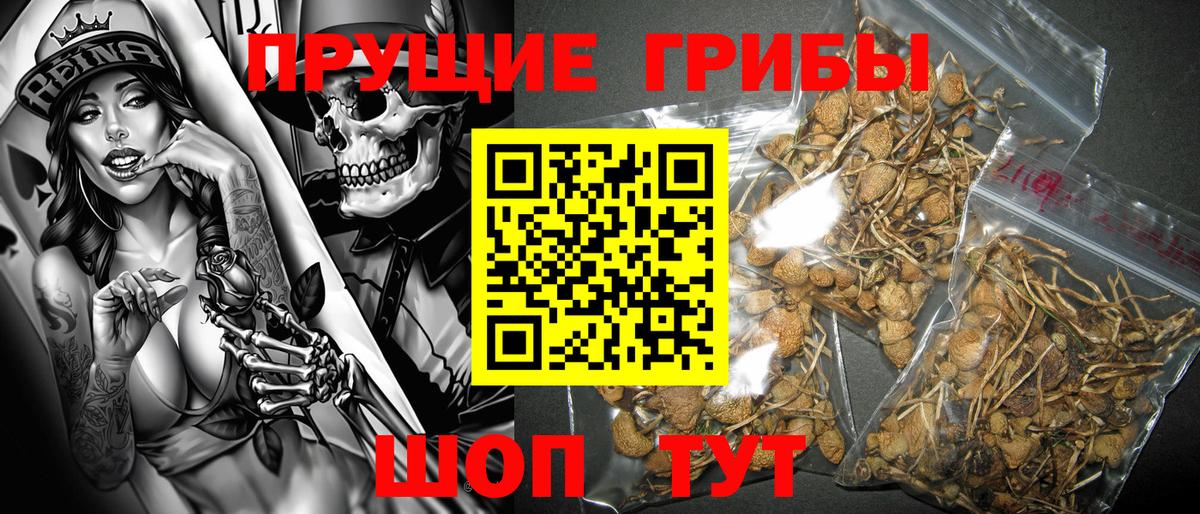 Галлюциногенные грибы ЛСД Славгород